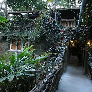 Greenspaces Bed & Breakfast Munnar